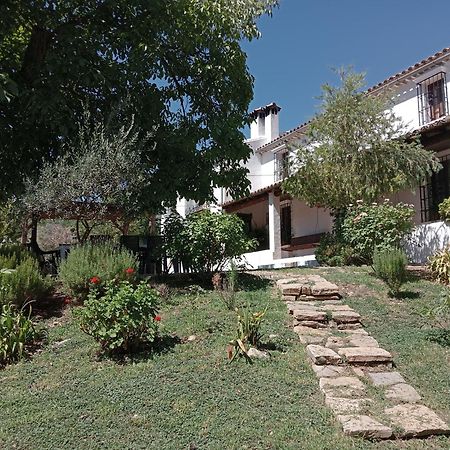 Casa Rural La Maquinilla Грасалема Екстер'єр фото