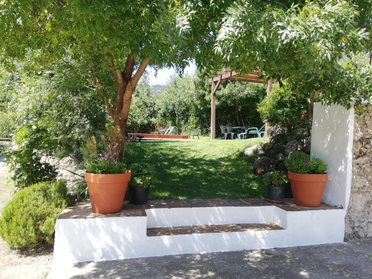 Casa Rural La Maquinilla Грасалема Екстер'єр фото