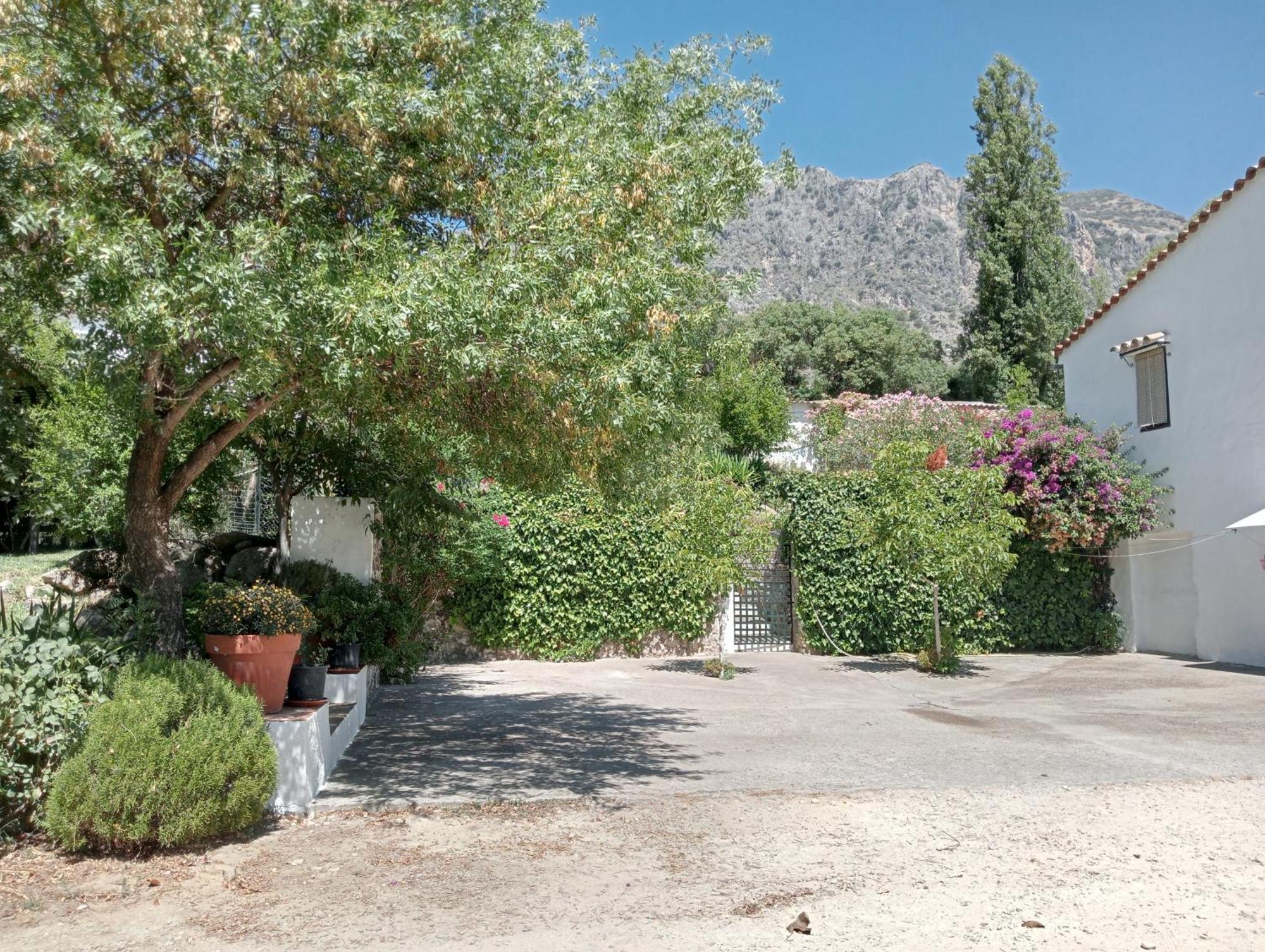 Casa Rural La Maquinilla Грасалема Екстер'єр фото