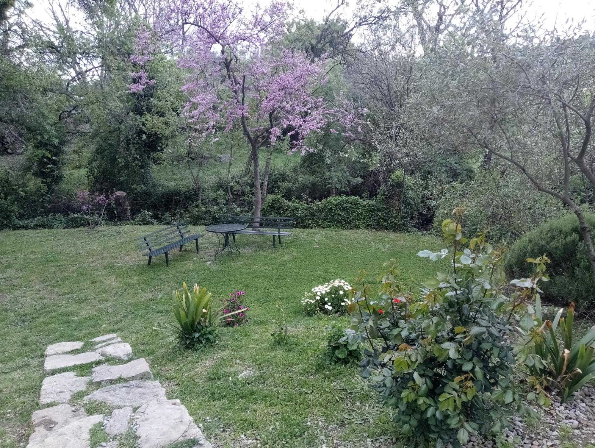 Casa Rural La Maquinilla Грасалема Екстер'єр фото