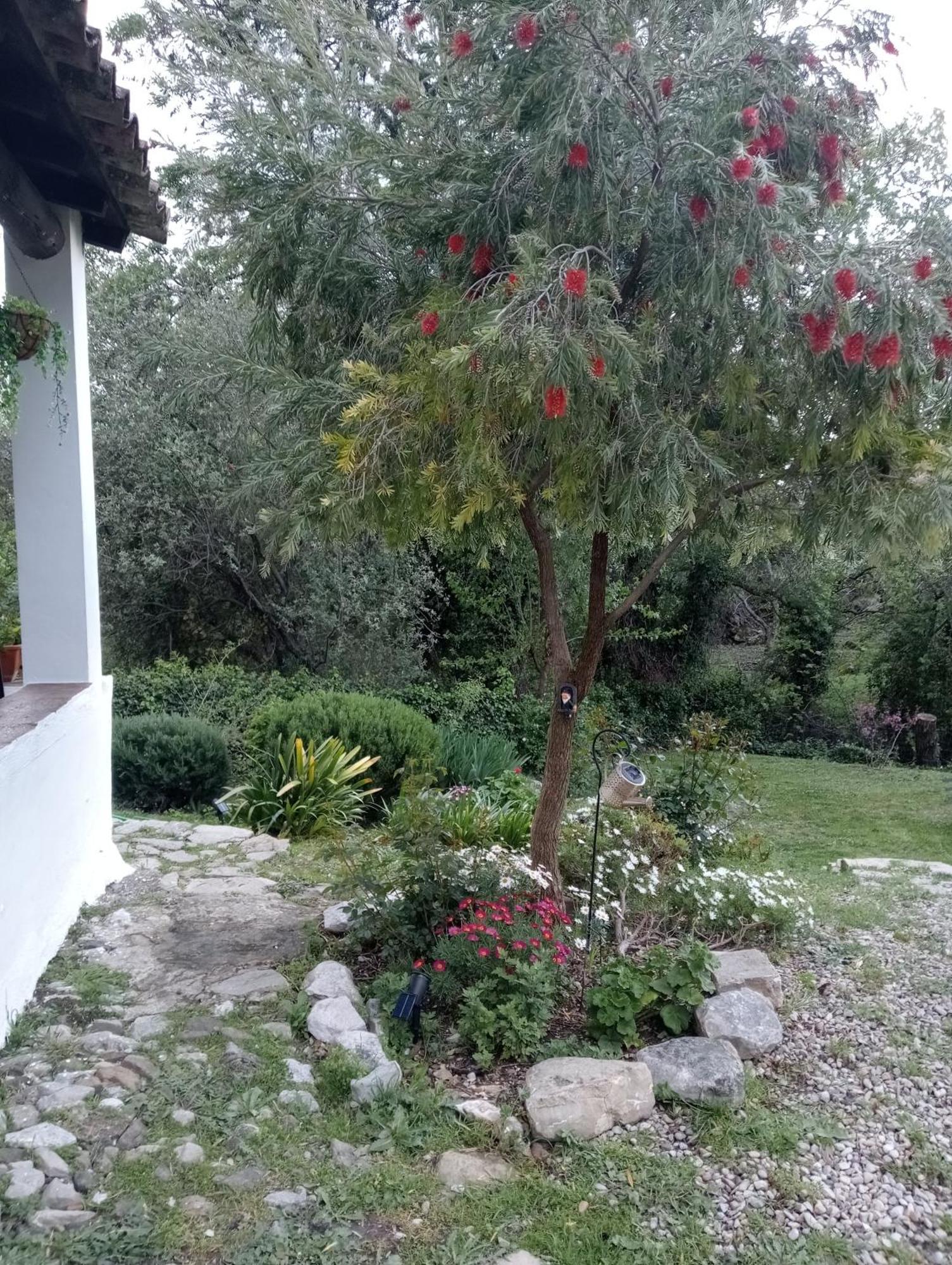 Casa Rural La Maquinilla Грасалема Екстер'єр фото