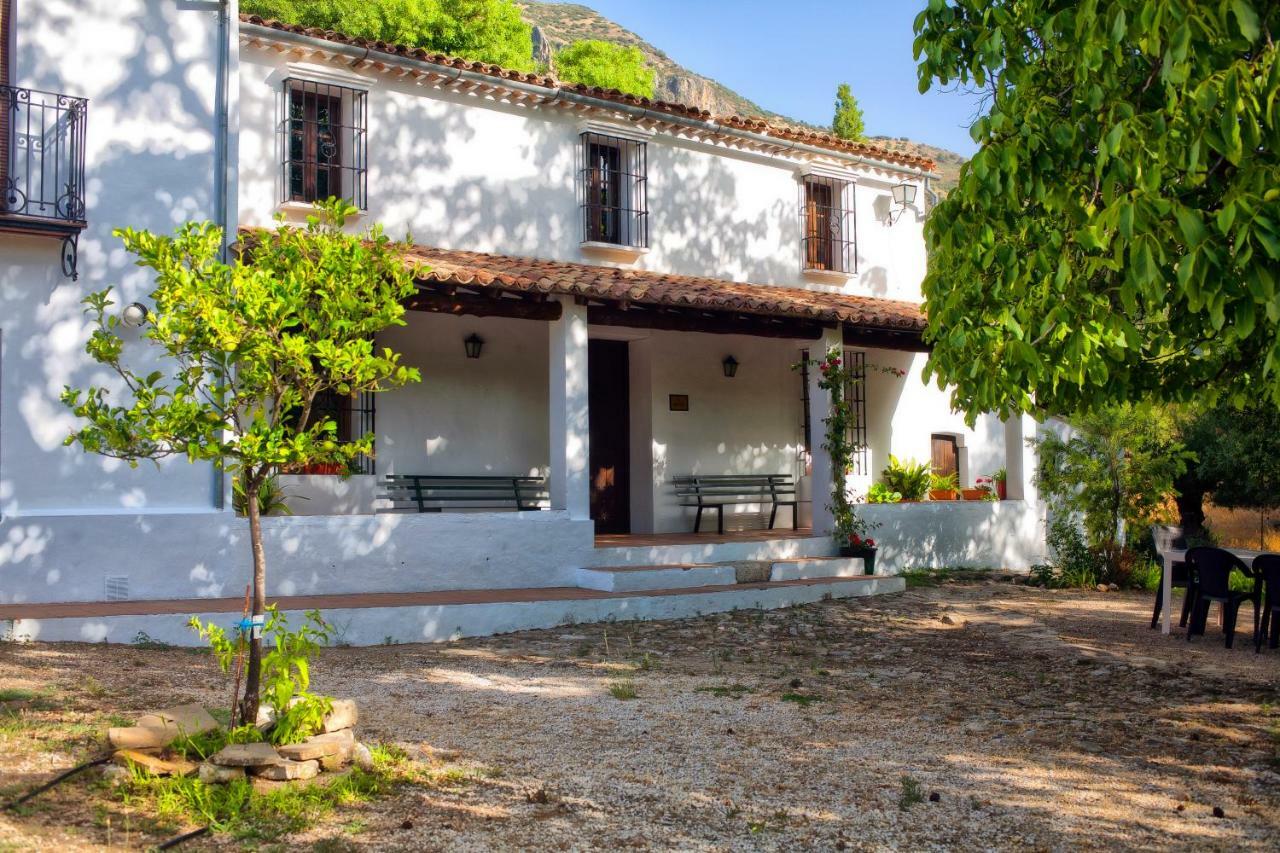 Casa Rural La Maquinilla Грасалема Екстер'єр фото