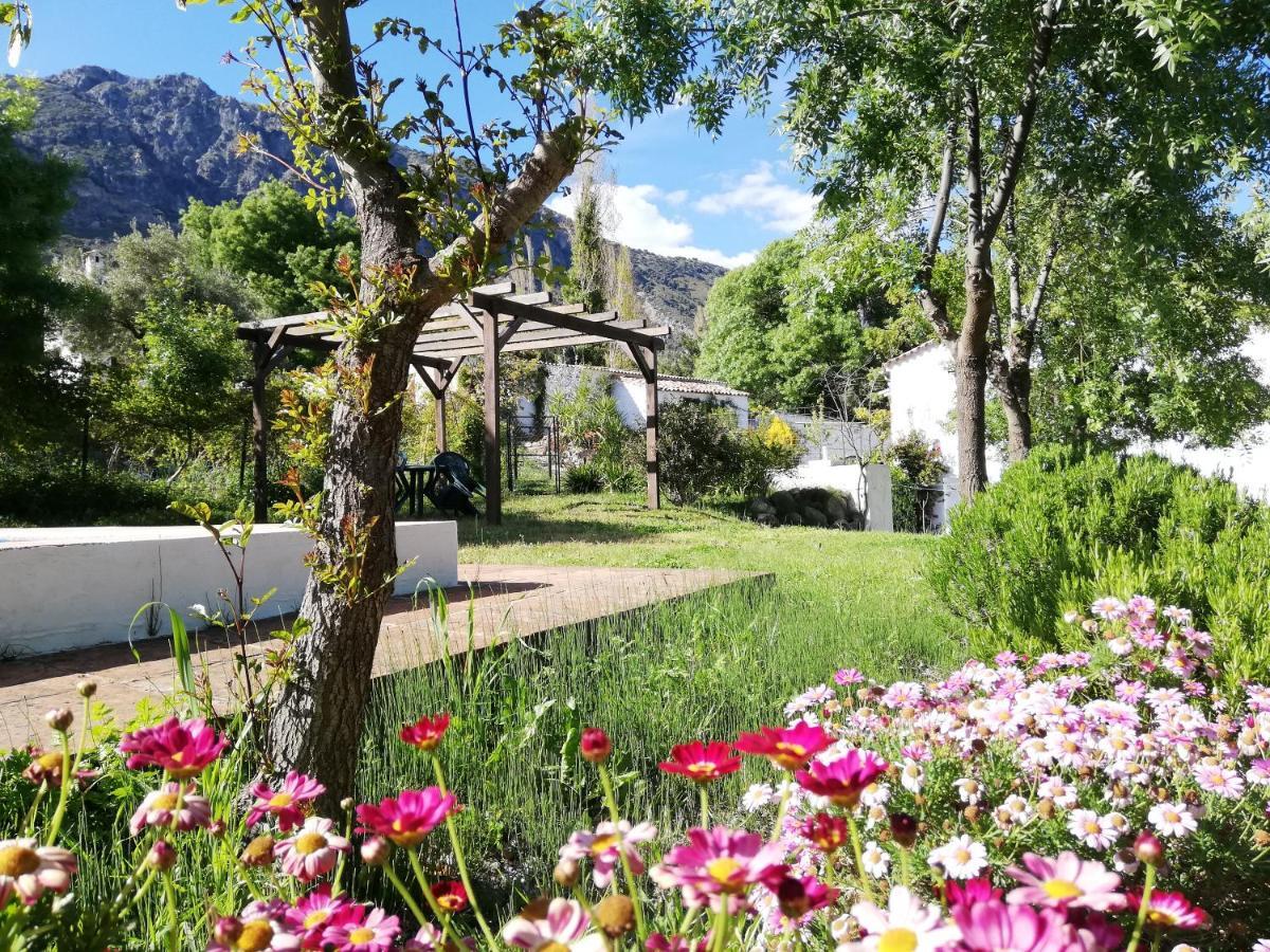 Casa Rural La Maquinilla Грасалема Екстер'єр фото